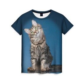 Женская футболка 3D с принтом Мейн-кун 2 в Новосибирске, 100% полиэфир ( синтетическое хлопкоподобное полотно) | прямой крой, круглый вырез горловины, длина до линии бедер | Тематика изображения на принте: кот | котенок | котик | котэ | кошка | мейн кун | мейнкун | мэйн кун | мэйнкун