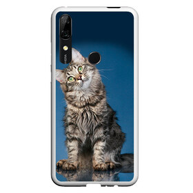 Чехол для Honor P Smart Z с принтом Мейн-кун 2 в Новосибирске, Силикон | Область печати: задняя сторона чехла, без боковых панелей | кот | котенок | котик | котэ | кошка | мейн кун | мейнкун | мэйн кун | мэйнкун