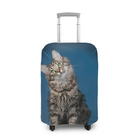 Чехол для чемодана 3D с принтом Мейн-кун 2 в Новосибирске, 86% полиэфир, 14% спандекс | двустороннее нанесение принта, прорези для ручек и колес | кот | котенок | котик | котэ | кошка | мейн кун | мейнкун | мэйн кун | мэйнкун
