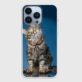 Чехол для iPhone 13 Pro с принтом Мейн кун 2 в Новосибирске,  |  | кот | котенок | котик | котэ | кошка | мейн кун | мейнкун | мэйн кун | мэйнкун