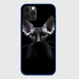 Чехол для iPhone 12 Pro Max с принтом Сфинкс 2 в Новосибирске, Силикон |  | Тематика изображения на принте: кот | котенок | котик | котэ | кошка | сфинкс