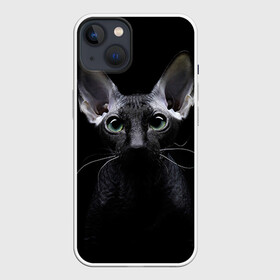 Чехол для iPhone 13 с принтом Сфинкс 2 в Новосибирске,  |  | кот | котенок | котик | котэ | кошка | сфинкс