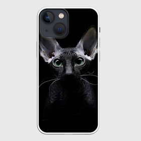 Чехол для iPhone 13 mini с принтом Сфинкс 2 в Новосибирске,  |  | кот | котенок | котик | котэ | кошка | сфинкс
