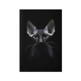 Обложка для паспорта матовая кожа с принтом Сфинкс 2 в Новосибирске, натуральная матовая кожа | размер 19,3 х 13,7 см; прозрачные пластиковые крепления | кот | котенок | котик | котэ | кошка | сфинкс