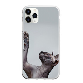 Чехол для iPhone 11 Pro матовый с принтом Сфинкс 3 в Новосибирске, Силикон |  | кот | котенок | котик | котэ | кошка | сфинкс