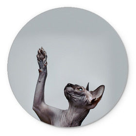 Коврик круглый с принтом Сфинкс 3 в Новосибирске, резина и полиэстер | круглая форма, изображение наносится на всю лицевую часть | кот | котенок | котик | котэ | кошка | сфинкс
