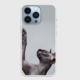 Чехол для iPhone 13 Pro с принтом Сфинкс 3 в Новосибирске,  |  | кот | котенок | котик | котэ | кошка | сфинкс