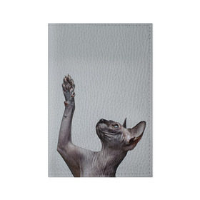 Обложка для паспорта матовая кожа с принтом Сфинкс 3 в Новосибирске, натуральная матовая кожа | размер 19,3 х 13,7 см; прозрачные пластиковые крепления | кот | котенок | котик | котэ | кошка | сфинкс