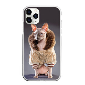 Чехол для iPhone 11 Pro Max матовый с принтом Сфинкс 4 в Новосибирске, Силикон |  | кот | котенок | котик | котэ | кошка | сфинкс
