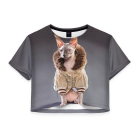 Женская футболка 3D укороченная с принтом Сфинкс 4 в Новосибирске, 100% полиэстер | круглая горловина, длина футболки до линии талии, рукава с отворотами | кот | котенок | котик | котэ | кошка | сфинкс