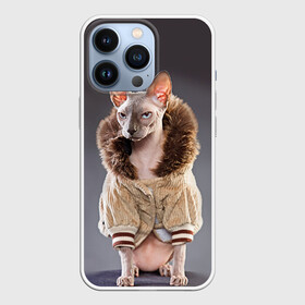 Чехол для iPhone 13 Pro с принтом Сфинкс 4 в Новосибирске,  |  | кот | котенок | котик | котэ | кошка | сфинкс