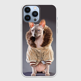 Чехол для iPhone 13 Pro Max с принтом Сфинкс 4 в Новосибирске,  |  | кот | котенок | котик | котэ | кошка | сфинкс