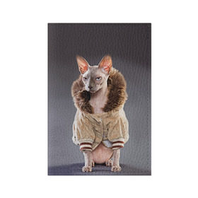 Обложка для паспорта матовая кожа с принтом Сфинкс 4 в Новосибирске, натуральная матовая кожа | размер 19,3 х 13,7 см; прозрачные пластиковые крепления | Тематика изображения на принте: кот | котенок | котик | котэ | кошка | сфинкс