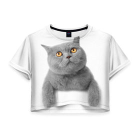 Женская футболка 3D укороченная с принтом Британец 2 в Новосибирске, 100% полиэстер | круглая горловина, длина футболки до линии талии, рукава с отворотами | британец | британская | британцы | кот | котенок | котик | котэ | кошка