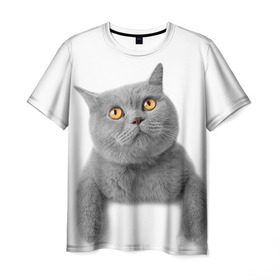Мужская футболка 3D с принтом Британец 2 в Новосибирске, 100% полиэфир | прямой крой, круглый вырез горловины, длина до линии бедер | британец | британская | британцы | кот | котенок | котик | котэ | кошка