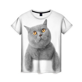 Женская футболка 3D с принтом Британец 2 в Новосибирске, 100% полиэфир ( синтетическое хлопкоподобное полотно) | прямой крой, круглый вырез горловины, длина до линии бедер | британец | британская | британцы | кот | котенок | котик | котэ | кошка