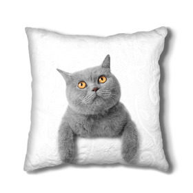 Подушка 3D с принтом Британец 2 в Новосибирске, наволочка – 100% полиэстер, наполнитель – холлофайбер (легкий наполнитель, не вызывает аллергию). | состоит из подушки и наволочки. Наволочка на молнии, легко снимается для стирки | Тематика изображения на принте: британец | британская | британцы | кот | котенок | котик | котэ | кошка