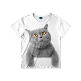 Детская футболка 3D с принтом Британец 2 в Новосибирске, 100% гипоаллергенный полиэфир | прямой крой, круглый вырез горловины, длина до линии бедер, чуть спущенное плечо, ткань немного тянется | британец | британская | британцы | кот | котенок | котик | котэ | кошка
