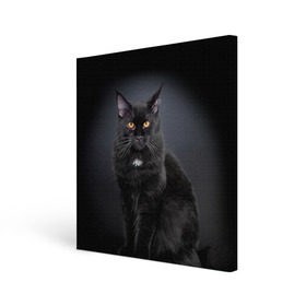 Холст квадратный с принтом Мейн-кун 3 в Новосибирске, 100% ПВХ |  | Тематика изображения на принте: кот | котенок | котик | котэ | кошка | мейн кун | мейнкун | мэйн кун | мэйнкун