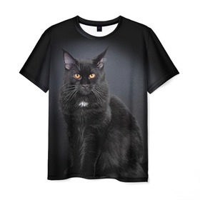 Мужская футболка 3D с принтом Мейн-кун 3 в Новосибирске, 100% полиэфир | прямой крой, круглый вырез горловины, длина до линии бедер | кот | котенок | котик | котэ | кошка | мейн кун | мейнкун | мэйн кун | мэйнкун