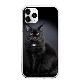 Чехол для iPhone 11 Pro матовый с принтом Мейн-кун 3 в Новосибирске, Силикон |  | кот | котенок | котик | котэ | кошка | мейн кун | мейнкун | мэйн кун | мэйнкун