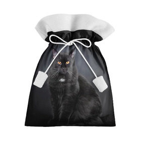 Подарочный 3D мешок с принтом Мейн-кун 3 в Новосибирске, 100% полиэстер | Размер: 29*39 см | кот | котенок | котик | котэ | кошка | мейн кун | мейнкун | мэйн кун | мэйнкун