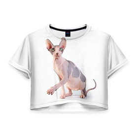 Женская футболка 3D укороченная с принтом Сфинкс 5 в Новосибирске, 100% полиэстер | круглая горловина, длина футболки до линии талии, рукава с отворотами | кот | котенок | котик | котэ | кошка | сфинкс