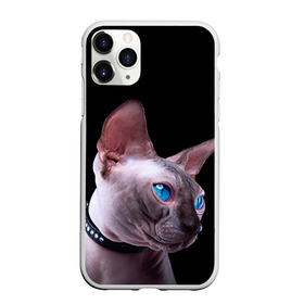 Чехол для iPhone 11 Pro Max матовый с принтом Сфинкс 6 в Новосибирске, Силикон |  | кот | котенок | котик | котэ | кошка | сфинкс