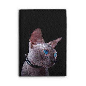 Обложка для автодокументов с принтом Сфинкс 6 в Новосибирске, натуральная кожа |  размер 19,9*13 см; внутри 4 больших “конверта” для документов и один маленький отдел — туда идеально встанут права | кот | котенок | котик | котэ | кошка | сфинкс
