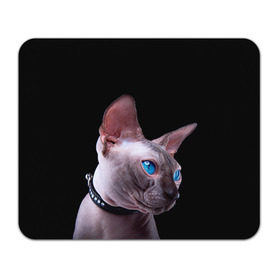 Коврик прямоугольный с принтом Сфинкс 6 в Новосибирске, натуральный каучук | размер 230 х 185 мм; запечатка лицевой стороны | Тематика изображения на принте: кот | котенок | котик | котэ | кошка | сфинкс
