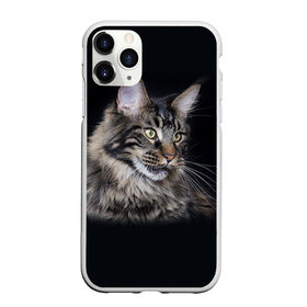 Чехол для iPhone 11 Pro матовый с принтом Мейн-кун 5 в Новосибирске, Силикон |  | кот | котенок | котик | котэ | кошка | мейн кун | мейнкун | мэйн кун | мэйнкун