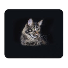Коврик прямоугольный с принтом Мейн-кун 5 в Новосибирске, натуральный каучук | размер 230 х 185 мм; запечатка лицевой стороны | Тематика изображения на принте: кот | котенок | котик | котэ | кошка | мейн кун | мейнкун | мэйн кун | мэйнкун