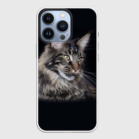 Чехол для iPhone 13 Pro с принтом Мейн кун 5 в Новосибирске,  |  | кот | котенок | котик | котэ | кошка | мейн кун | мейнкун | мэйн кун | мэйнкун
