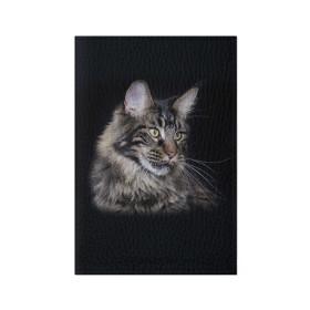 Обложка для паспорта матовая кожа с принтом Мейн-кун 5 в Новосибирске, натуральная матовая кожа | размер 19,3 х 13,7 см; прозрачные пластиковые крепления | Тематика изображения на принте: кот | котенок | котик | котэ | кошка | мейн кун | мейнкун | мэйн кун | мэйнкун