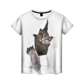 Женская футболка 3D с принтом Британец 4 в Новосибирске, 100% полиэфир ( синтетическое хлопкоподобное полотно) | прямой крой, круглый вырез горловины, длина до линии бедер | Тематика изображения на принте: британец | британская | британцы | кот | котенок | котик | котэ | кошка