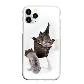 Чехол для iPhone 11 Pro Max матовый с принтом Британец 4 в Новосибирске, Силикон |  | Тематика изображения на принте: британец | британская | британцы | кот | котенок | котик | котэ | кошка