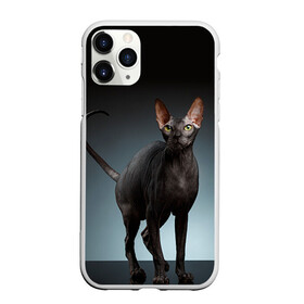 Чехол для iPhone 11 Pro Max матовый с принтом Сфинкс 7 в Новосибирске, Силикон |  | кот | котенок | котик | котэ | кошка | сфинкс