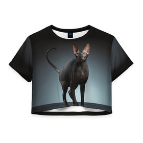 Женская футболка 3D укороченная с принтом Сфинкс 7 в Новосибирске, 100% полиэстер | круглая горловина, длина футболки до линии талии, рукава с отворотами | кот | котенок | котик | котэ | кошка | сфинкс