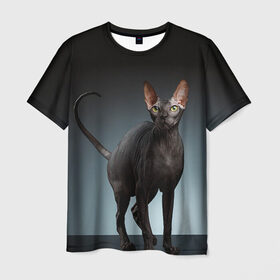 Мужская футболка 3D с принтом Сфинкс 7 в Новосибирске, 100% полиэфир | прямой крой, круглый вырез горловины, длина до линии бедер | Тематика изображения на принте: кот | котенок | котик | котэ | кошка | сфинкс