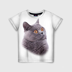 Детская футболка 3D с принтом Британец 5 в Новосибирске, 100% гипоаллергенный полиэфир | прямой крой, круглый вырез горловины, длина до линии бедер, чуть спущенное плечо, ткань немного тянется | британец | британская | британцы | кот | котенок | котик | котэ | кошка