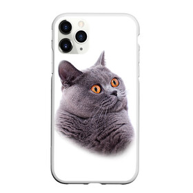 Чехол для iPhone 11 Pro матовый с принтом Британец 5 в Новосибирске, Силикон |  | британец | британская | британцы | кот | котенок | котик | котэ | кошка