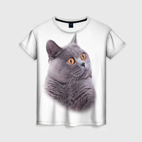 Женская футболка 3D с принтом Британец 5 в Новосибирске, 100% полиэфир ( синтетическое хлопкоподобное полотно) | прямой крой, круглый вырез горловины, длина до линии бедер | британец | британская | британцы | кот | котенок | котик | котэ | кошка