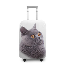Чехол для чемодана 3D с принтом Британец 5 в Новосибирске, 86% полиэфир, 14% спандекс | двустороннее нанесение принта, прорези для ручек и колес | британец | британская | британцы | кот | котенок | котик | котэ | кошка