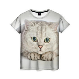 Женская футболка 3D с принтом Британец 6 в Новосибирске, 100% полиэфир ( синтетическое хлопкоподобное полотно) | прямой крой, круглый вырез горловины, длина до линии бедер | Тематика изображения на принте: британец | британская | британцы | кот | котенок | котик | котэ | кошка
