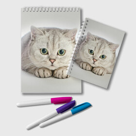 Блокнот с принтом Британец 6 в Новосибирске, 100% бумага | 48 листов, плотность листов — 60 г/м2, плотность картонной обложки — 250 г/м2. Листы скреплены удобной пружинной спиралью. Цвет линий — светло-серый
 | Тематика изображения на принте: британец | британская | британцы | кот | котенок | котик | котэ | кошка