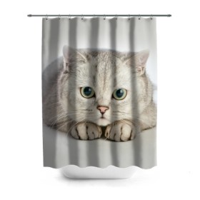 Штора 3D для ванной с принтом Британец 6 в Новосибирске, 100% полиэстер | плотность материала — 100 г/м2. Стандартный размер — 146 см х 180 см. По верхнему краю — пластиковые люверсы для креплений. В комплекте 10 пластиковых колец | Тематика изображения на принте: британец | британская | британцы | кот | котенок | котик | котэ | кошка