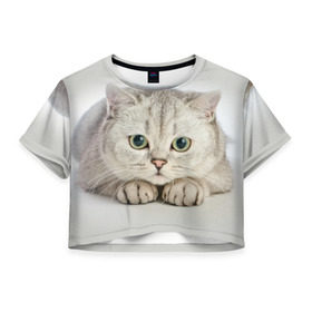 Женская футболка 3D укороченная с принтом Британец 6 в Новосибирске, 100% полиэстер | круглая горловина, длина футболки до линии талии, рукава с отворотами | британец | британская | британцы | кот | котенок | котик | котэ | кошка