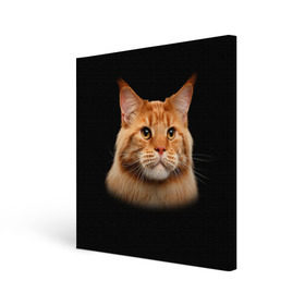 Холст квадратный с принтом Мейн-кун 6 в Новосибирске, 100% ПВХ |  | кот | котенок | котик | котэ | кошка | мейн кун | мейнкун | мэйн кун | мэйнкун