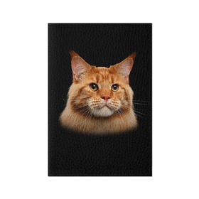 Обложка для паспорта матовая кожа с принтом Мейн-кун 6 в Новосибирске, натуральная матовая кожа | размер 19,3 х 13,7 см; прозрачные пластиковые крепления | Тематика изображения на принте: кот | котенок | котик | котэ | кошка | мейн кун | мейнкун | мэйн кун | мэйнкун