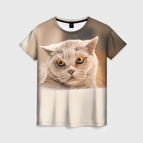 Женская футболка 3D с принтом Британец 7 в Новосибирске, 100% полиэфир ( синтетическое хлопкоподобное полотно) | прямой крой, круглый вырез горловины, длина до линии бедер | британец | британская | британцы | кот | котенок | котик | котэ | кошка